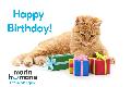Basic eCard - Happy Birthday Kitten